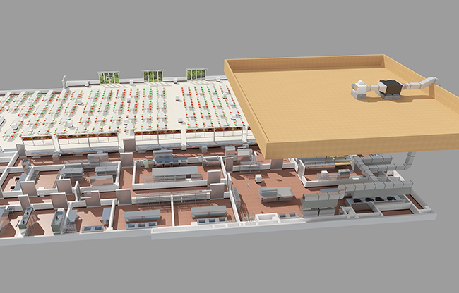 餐飲廚房排煙系統(tǒng)工程 餐飲廚房排煙系統(tǒng)工程